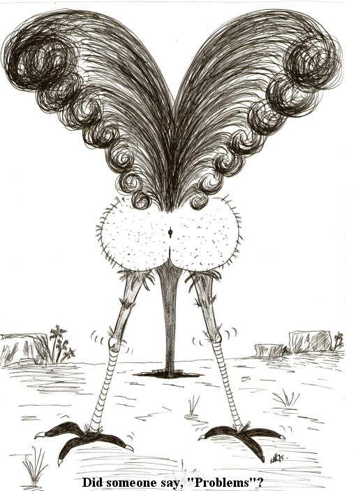 Ostrich1