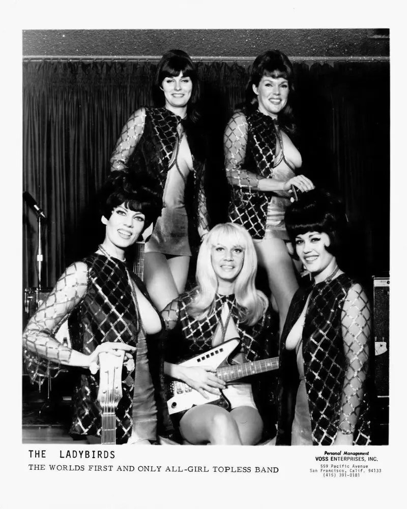 The ladybirds