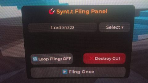 Universal Script Touch Fling Roblox Scripts ScriptBlox 0 