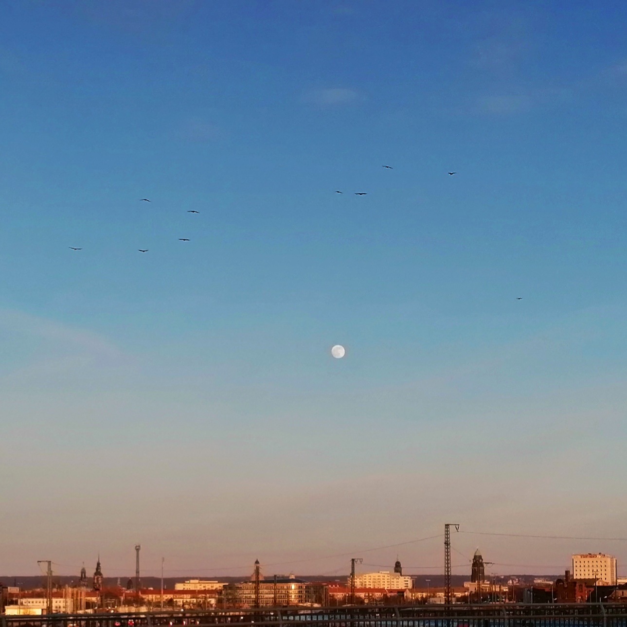bright moondawn at sunset above the city skyline of Dresden