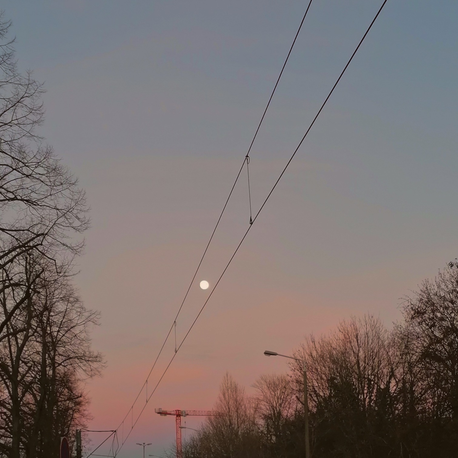 bright moon captured framed by electricity cables