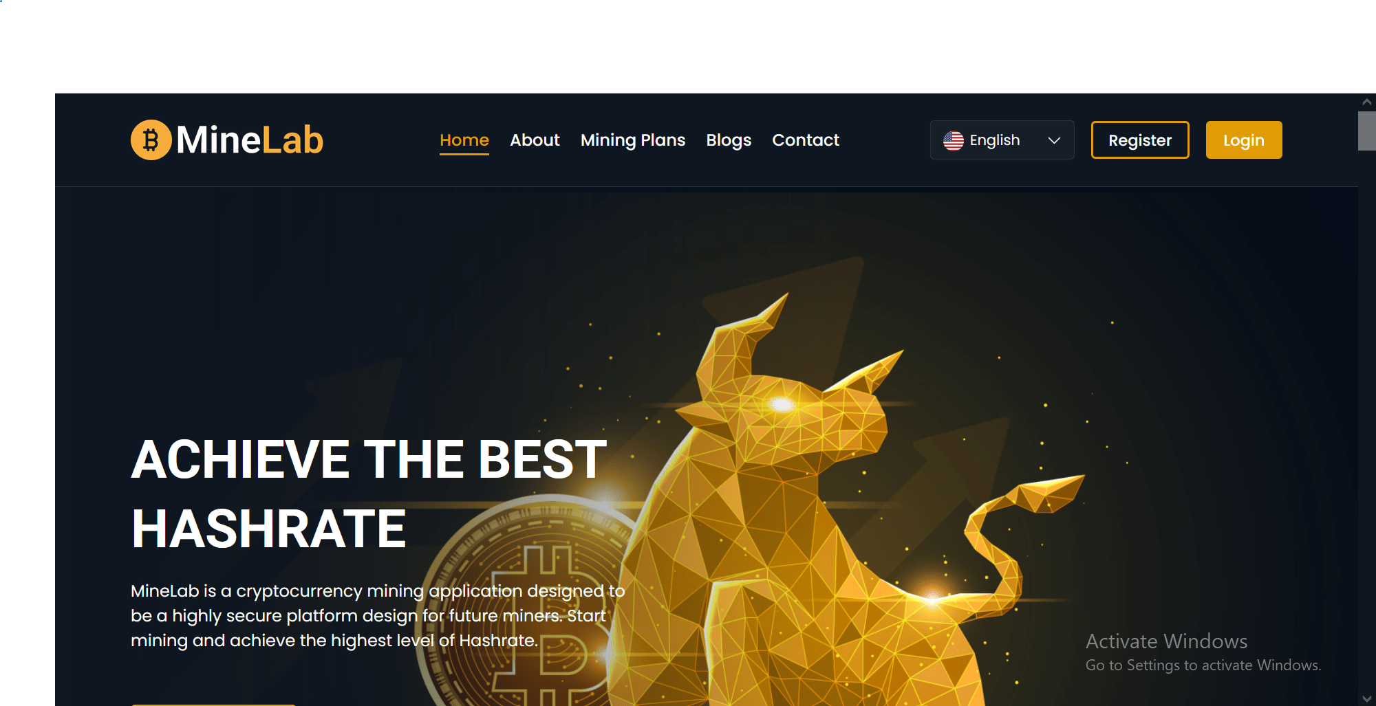 MineLab Mining Website
