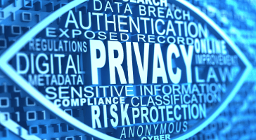 Data Privacy Day
