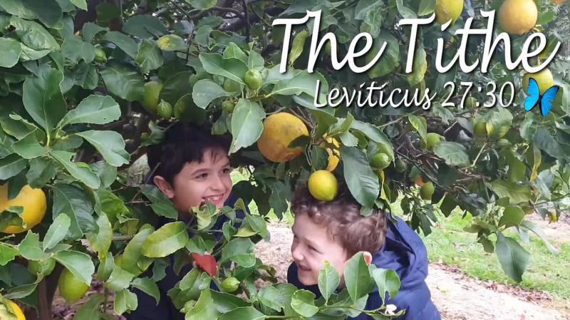 The Tithe In Scripture Pdf Book Of Genesis Tithe - Amazing 4K Minimal Wallpapers | Free Download