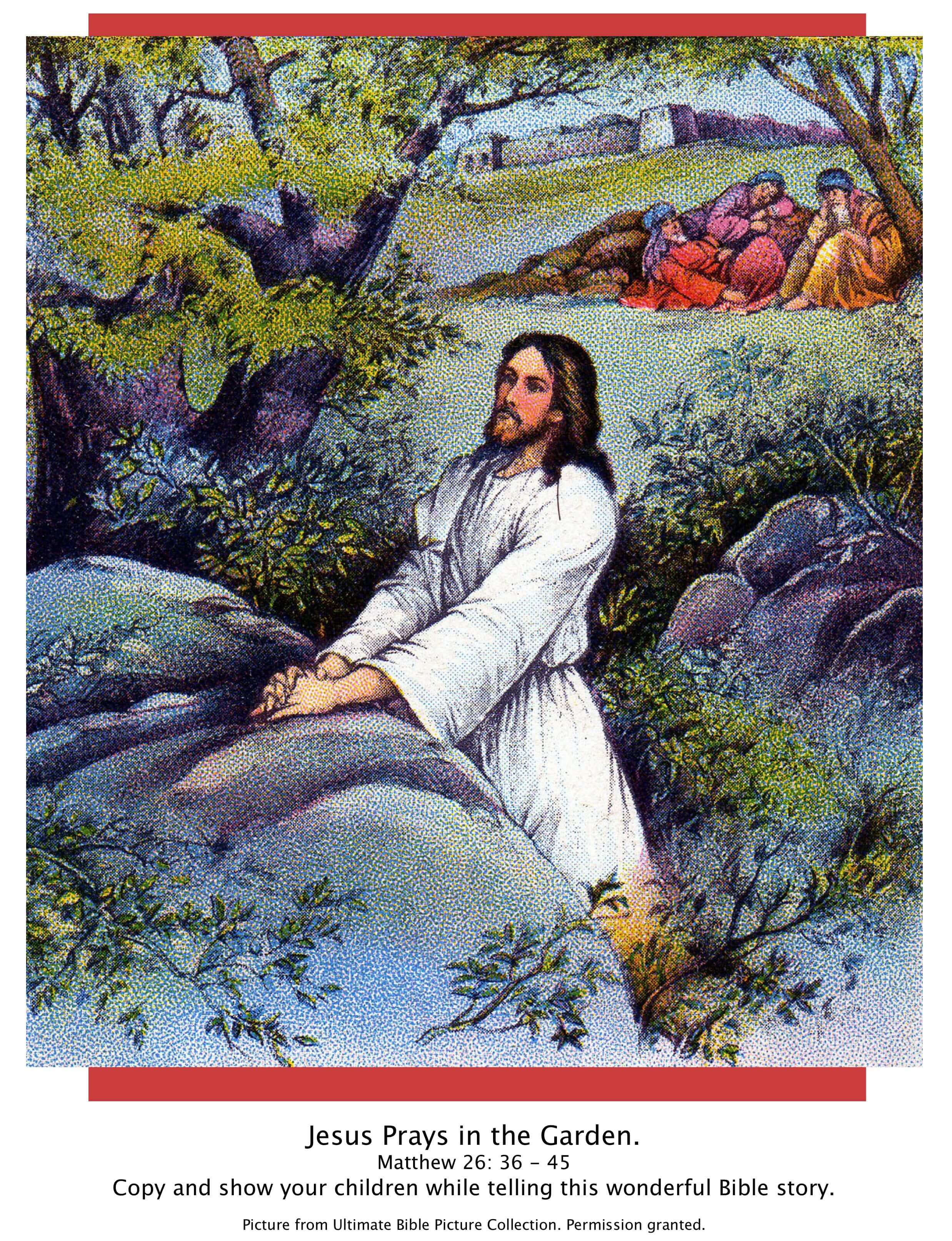 Jesus, our redeemer, begins to undergo the passion in a garden. Bible Story Pictures: Jesus in the Garden of Gethsemane - The Scripture Lady