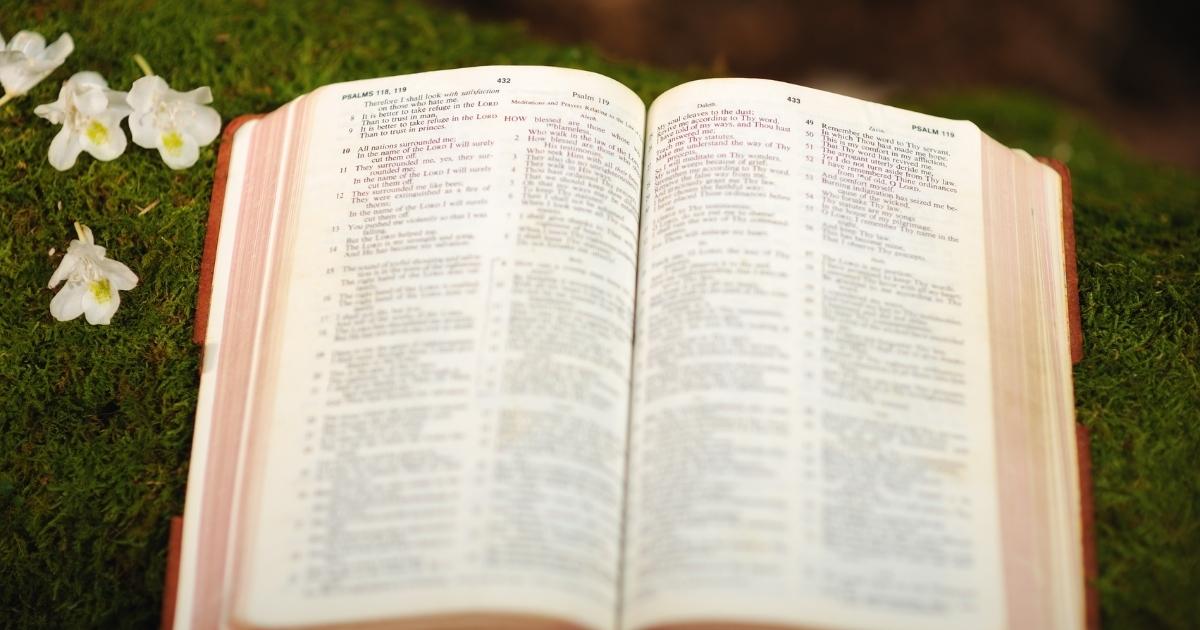 Psalms in the Bible