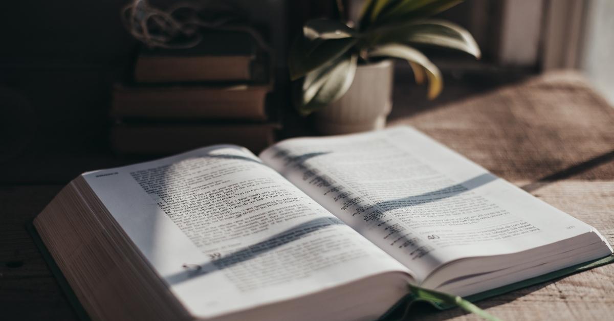 enjoying the Bible