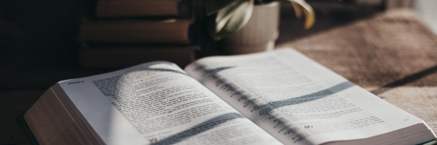 Enjoy reading the Bible one book at a time