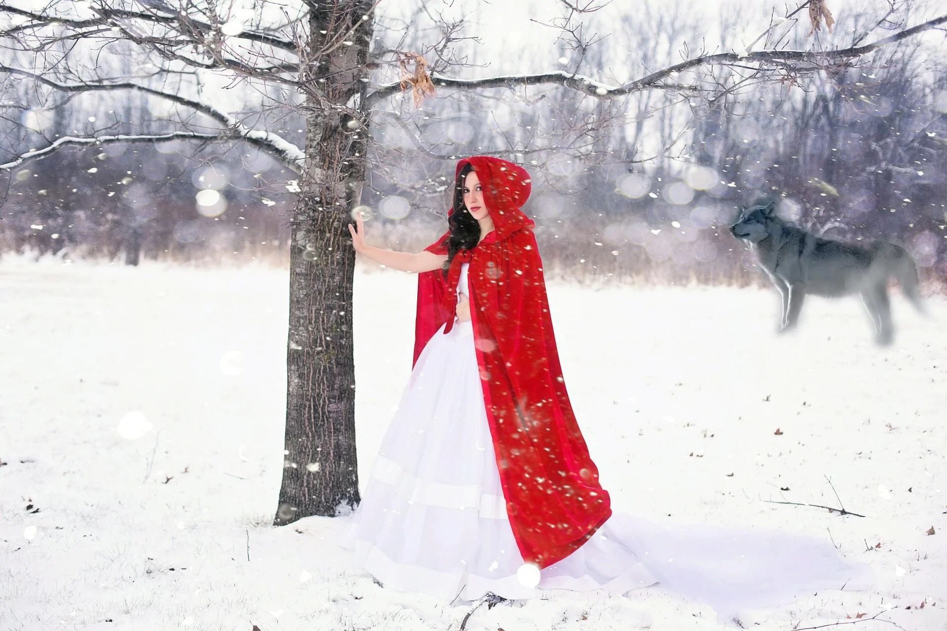 A snowy scenery with a young woman with red lips and black long hair, wearing a white dress and a long red riding hood, is resting her palm on a tree. Behind her there is a wild grey wolf looking towards her.