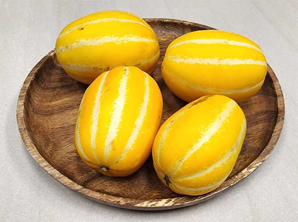 Korean Melon