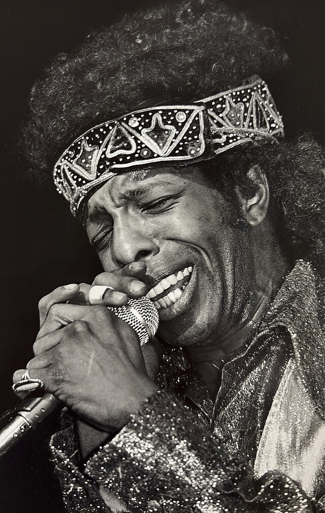 Legendary Funk Pioneer Sly Stone Dies at 82 - The San Diego Voice