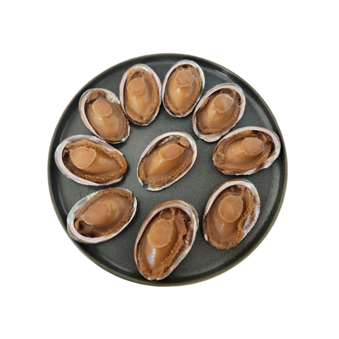 Abalone Shell Products Nagae - Premium Landscape Design Gallery - Full HD