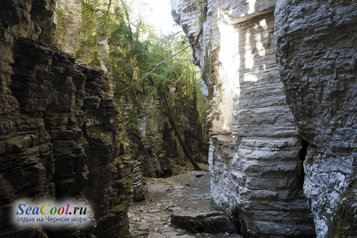 Джиптур в сухой и мокрый каньоны, долина буйволов, природный источник голубой глины. Suhoj Kanon Psaho