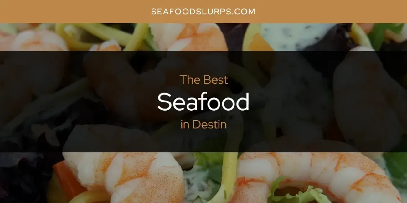 Tampa S Best Seafood Spots 2026 Guide Seafood Destin.webp