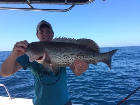 23-mile-grouper