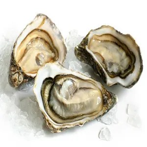 Oyster with Shell