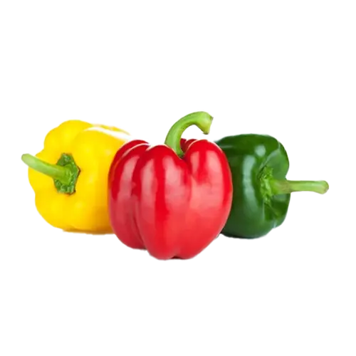 Best vegetable seeds in Gujrat, India-Capsicum