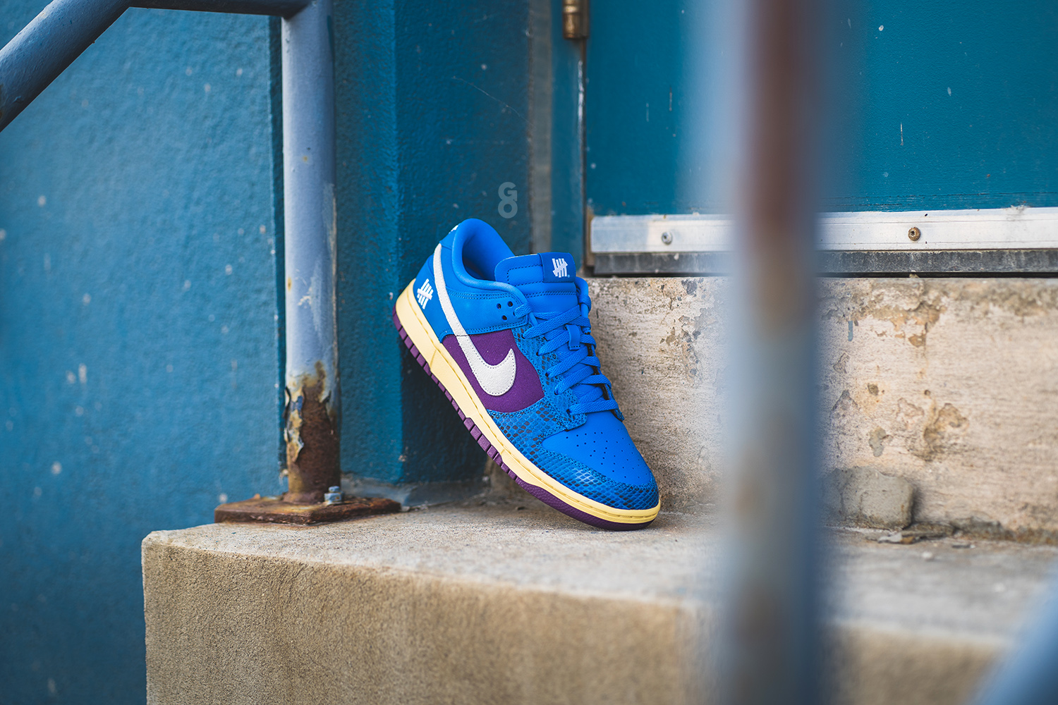 undefeated dunk signal blue