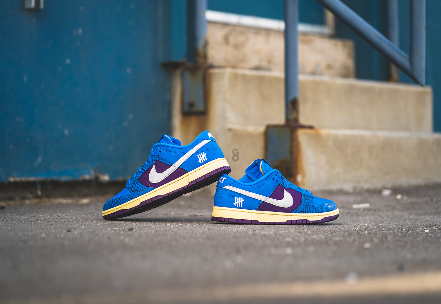 dunk low undefeated 5 on it on feet