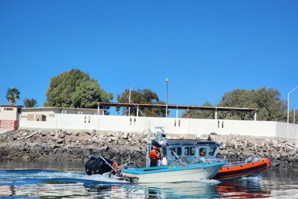 Castaway-Rescue-Nov2025-4 Castaway-Rescue-Nov2025-4