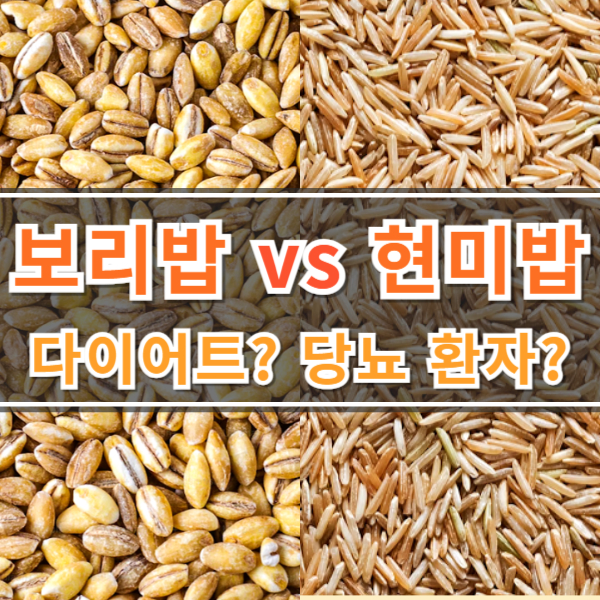 보리밥 vs 현미밥 효능 비교 (다이어트, 당뇨 환자)