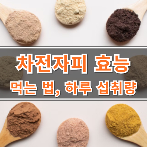 차전자피 효능 다이어트 변비 해결