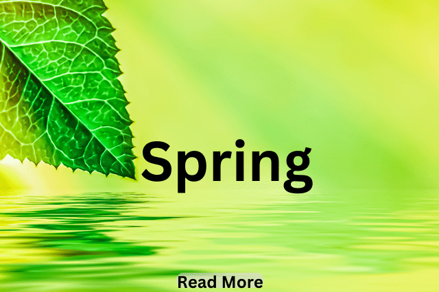 A leaf touching water all green scene and the word says spring