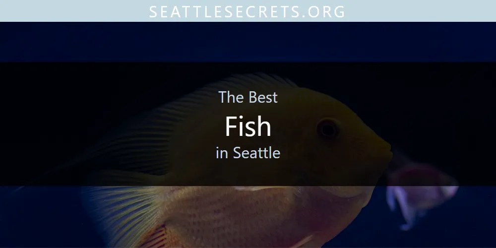 2026 Guide To Best Seafood Boil In Seattle Fish