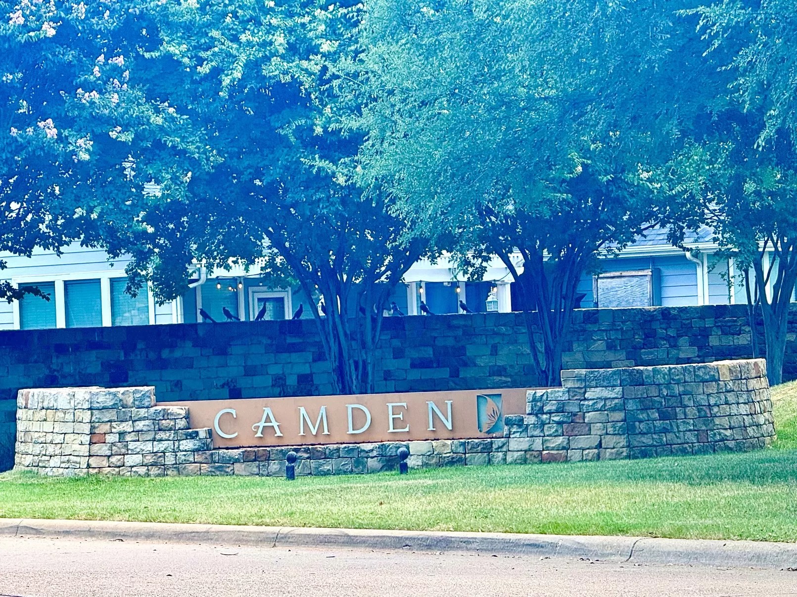 Camden in Lantana TX