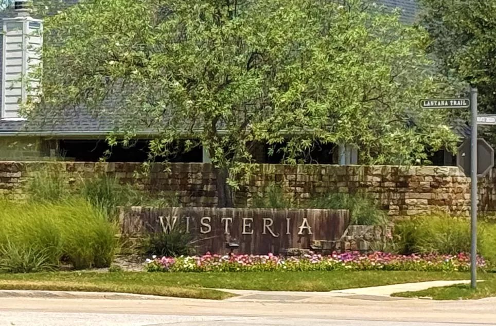 Wisteria in Lantana TX