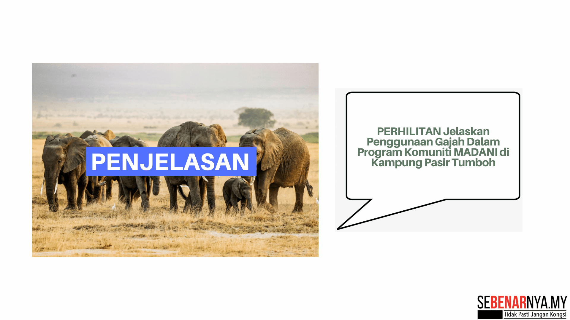 PERHILITAN Jelaskan Penggunaan Gajah Dalam Program Komuniti MADANI di Kampung Pasir Tumboh