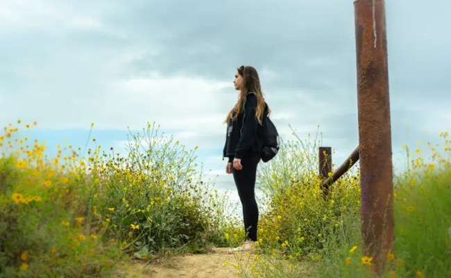 Merge Arrays Using JavaScript Array Concat() Method | Sebhastian