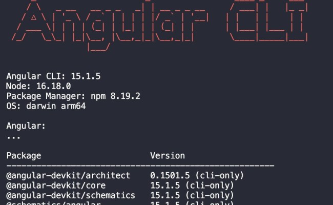 How To Check Angular Version Installed On Your Computer | Sebhastian
