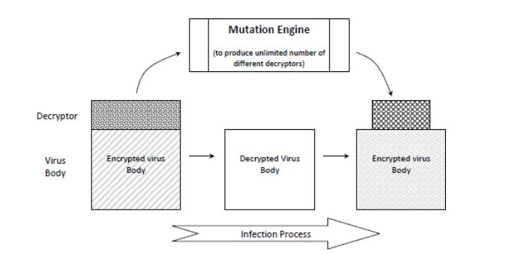 Github Elliothershberg Interactive Mutation Browser In Silico - Vintage Design Collection - High Resolution Quality