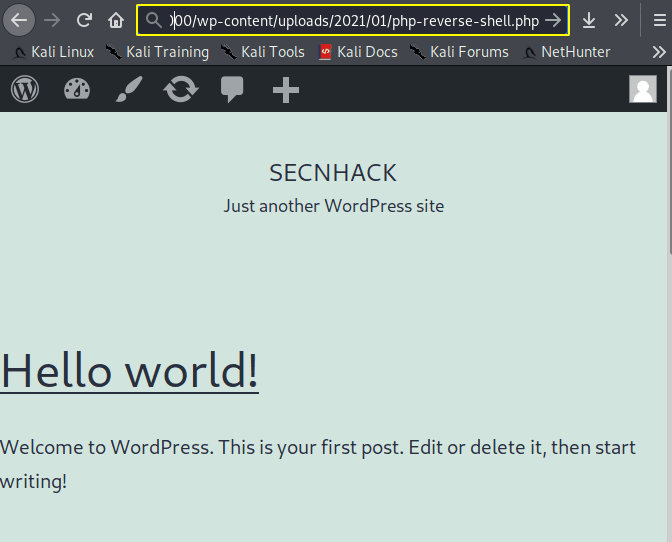 Jika sudah masukan ke csrf online. Upload Shell On Wordpress Site Secnhack