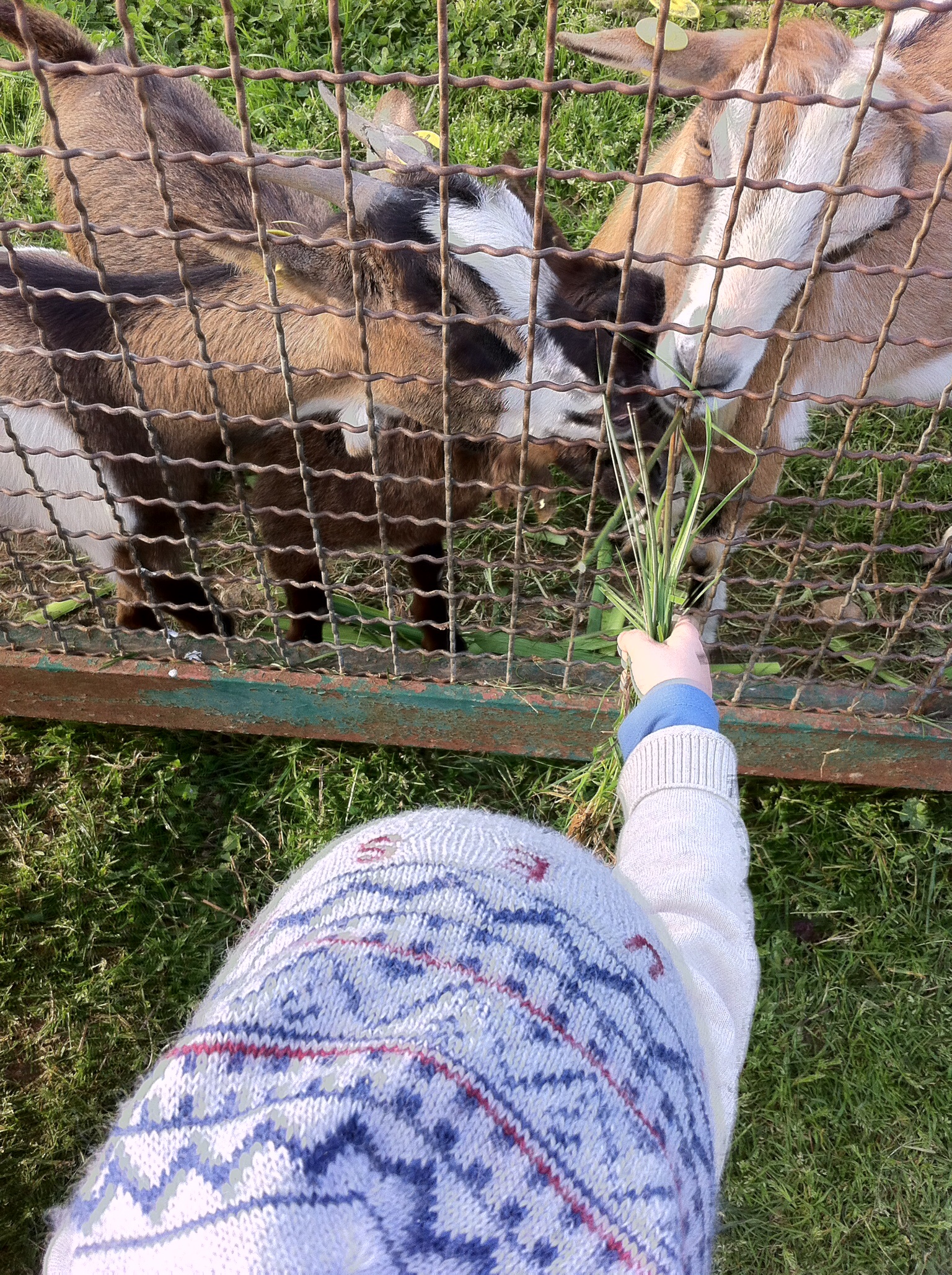 ..si è' sparsa la voce..