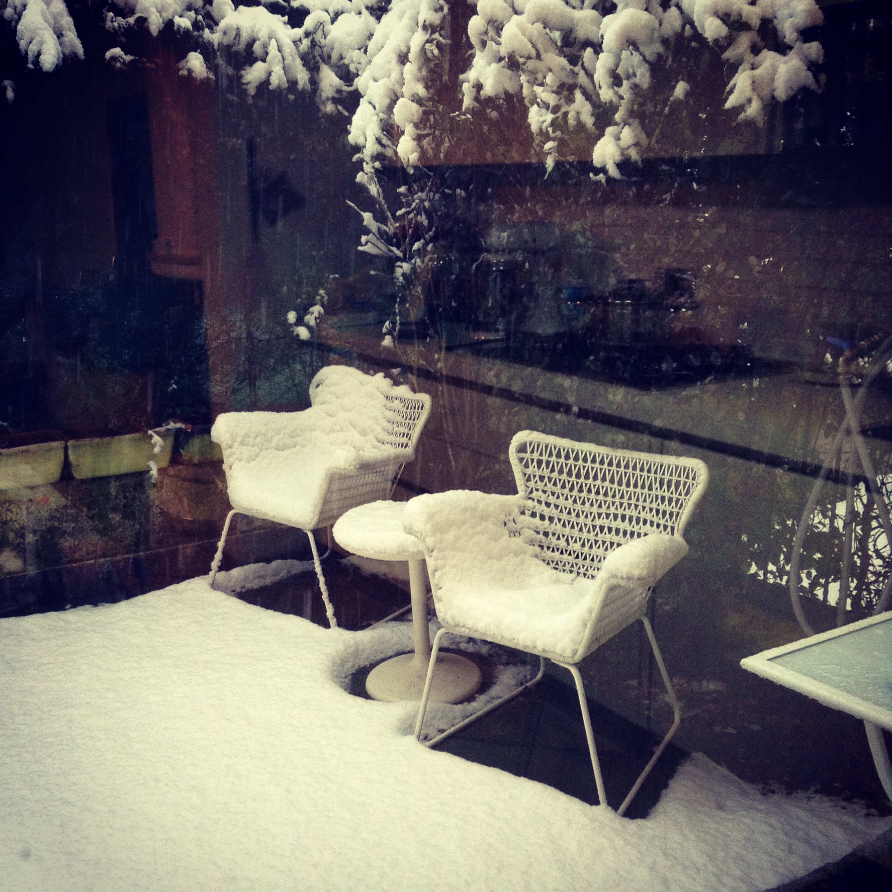 Neve in giardino