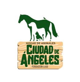 Ciudad de Angeles