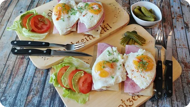 단백질 보충제의 필요성과 올바른 선택법