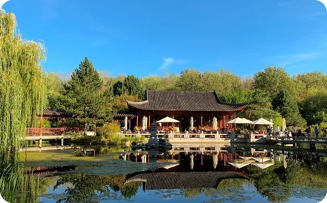 루바브 뿌리 추출물로 갱년기 증상 관리