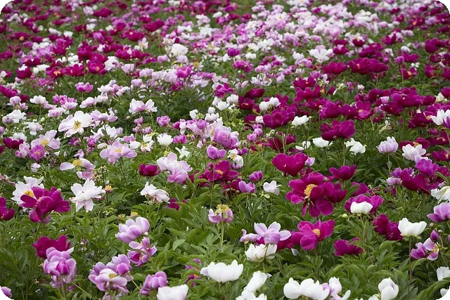 병원 영어의 중요성 알아보기