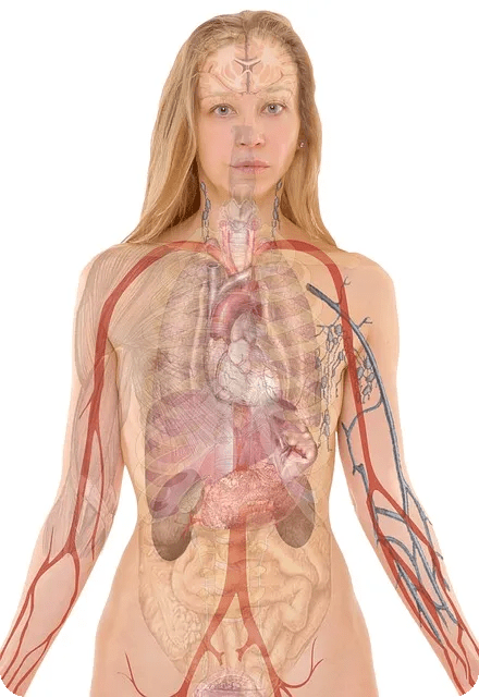 BMI 계산법 및 비만도 분류 방법은?