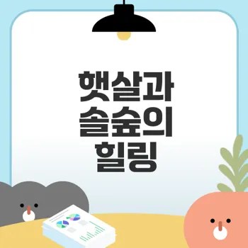 솔숲에서 맞이하는 햇살과 힐링