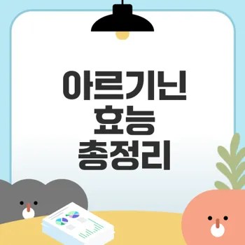 아르기닌 효능이란 무엇일까
