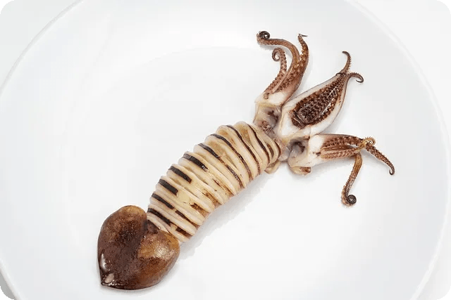 평택 청룡동 쭈꾸미 맛집 경험해보세요