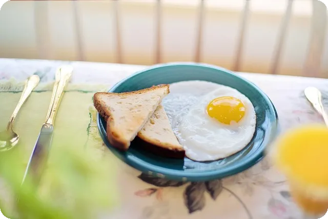 채식 단백질로 건강한 식단 만들기