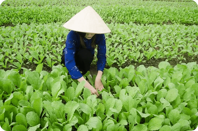 탈모 예방 식단 효과는 실제일까