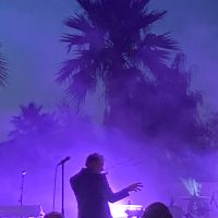 Baxter Dury, dans la chaleur de la nuit