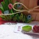 Clara S Crafty Corner World Of Creative Craft Quilling To Inspire