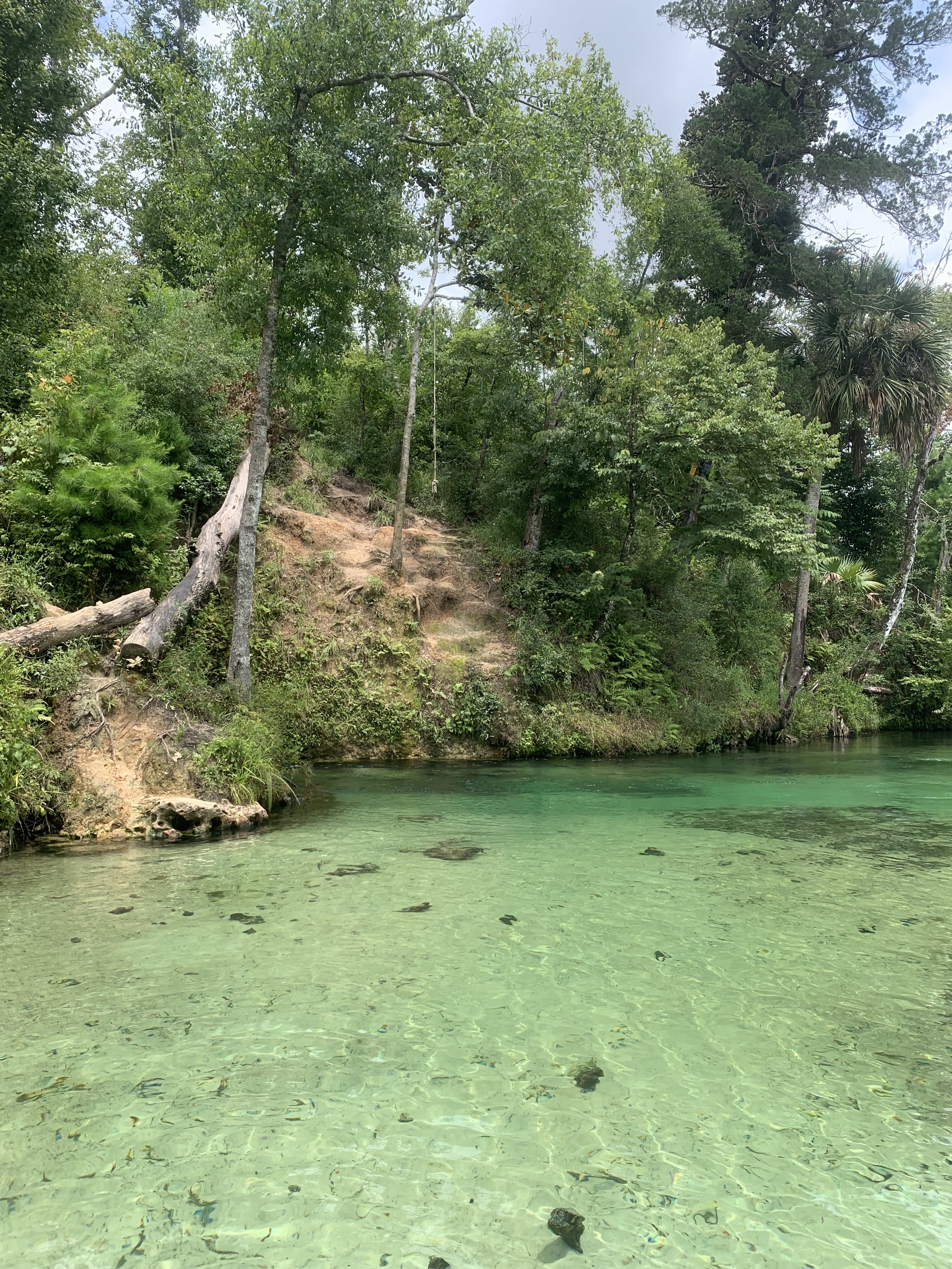 Natural Spring in Florida Panhandle